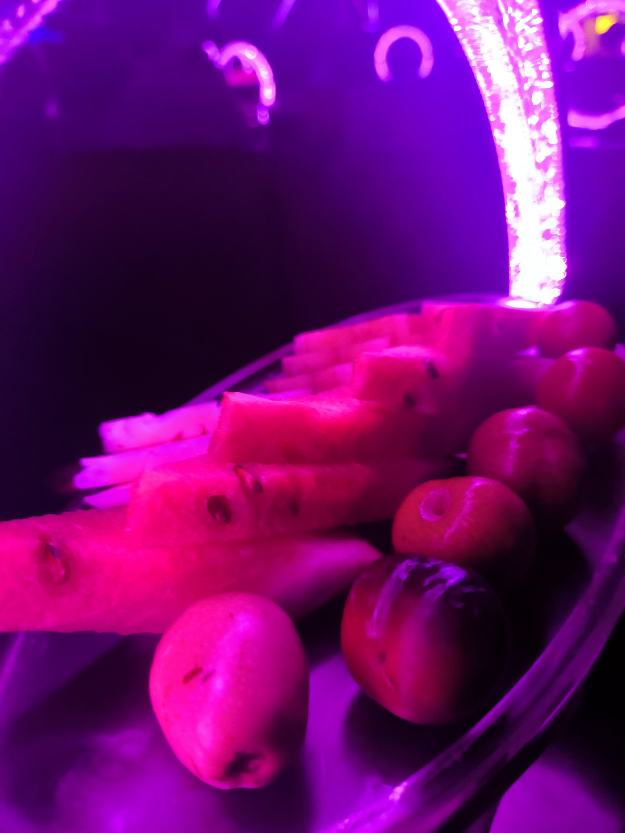 大兴安岭商务ktv高品质商务ktv选择-新林区ktv预订